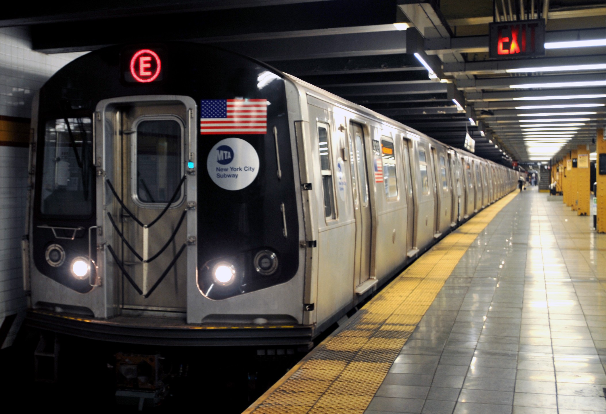 Rato de quase um metro aparece em loja de Nova York - ClickPB